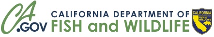 CA.gov